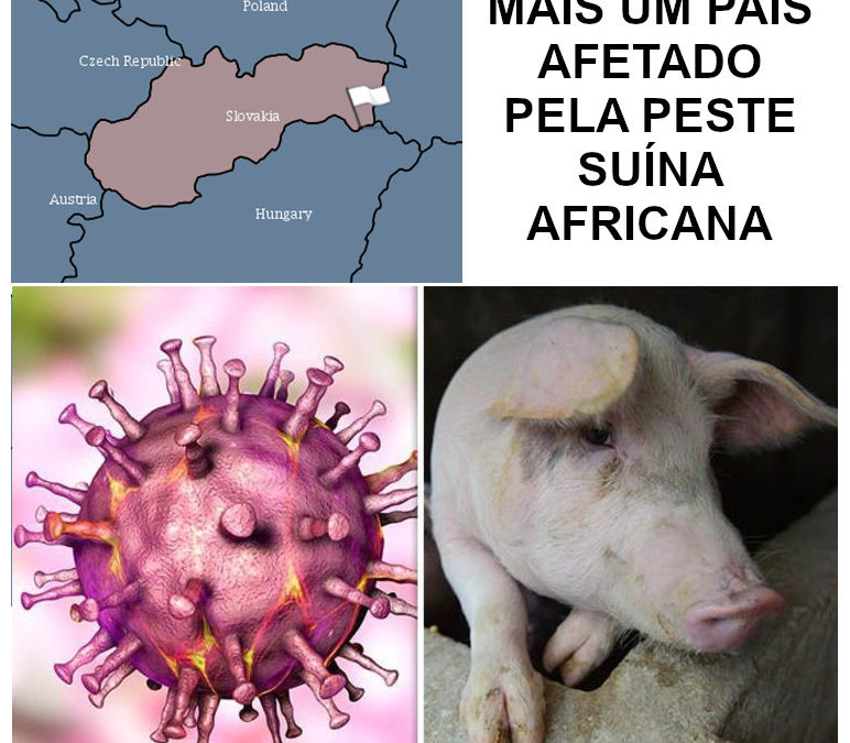 MAIS UM PAÍS EUROPEU COM PESTE SUÍNA AFRICANA