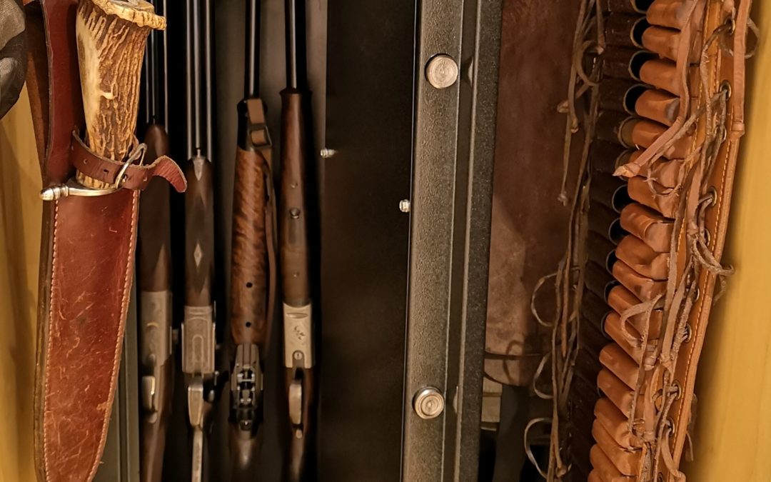 Homologação de cofres para guarda de armas | alteração da lei das armas