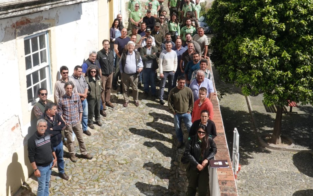 2.º WORKSHOP métodos selectivos para correção de densidades concluído em Mértola