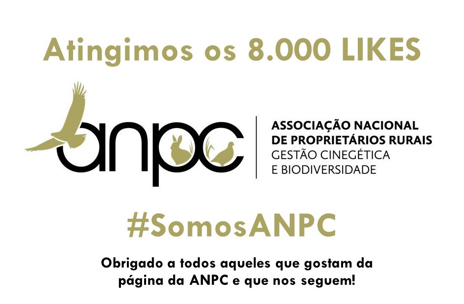 Página da ANPC no Facebook atingiu os 8.000 likes
